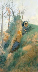 Spring