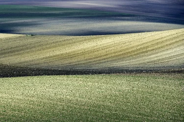 Rolling Field Patterns