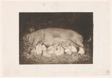 Sow with Piglets