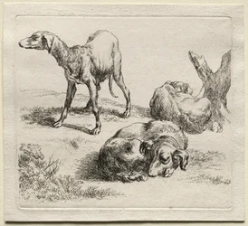 Three Hunting Dogs