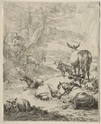 The Herd at Rest