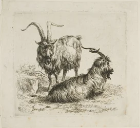 Two Goats with Large Horns (from Various Animals)