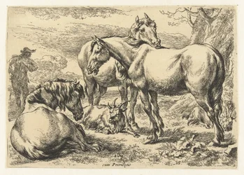 Three Horses (Animals series)