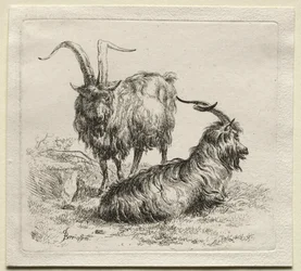 Two Goats