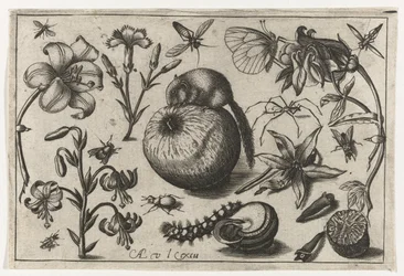 Flowers and a Mouse on an Apple (Birds, Flowers, Insects, etc.)