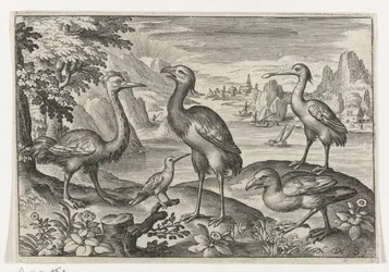 Crowned Crane Between Two Ostriches