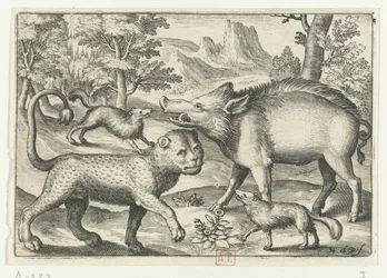 Leopard, Wild Boar and Two Dogs (series title) Animalivm qvadrvpedvm (series title) Animals in Landscapes