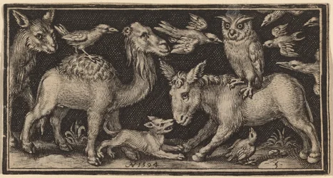 Owl on Back of Donkey, Bird on Back of Camel with Other Animals