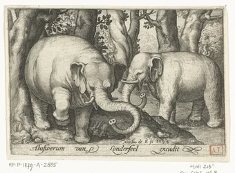 Two Elephants