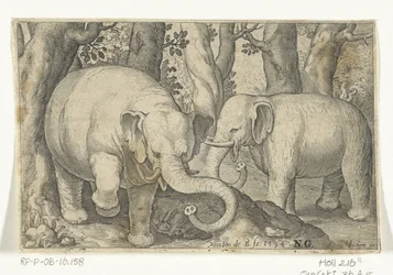 Two Elephants