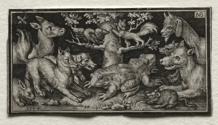 Two-headed Frog Surrounded by Animals