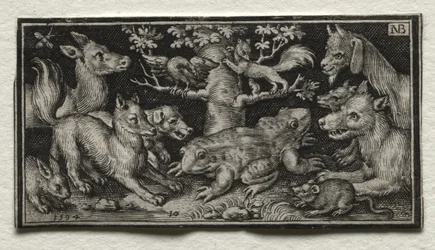 Two-headed Frog Surrounded by Animals