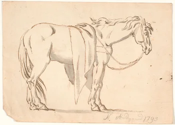 A Horse with a Blanket On