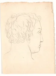 A Head of a Man Seen from Behind