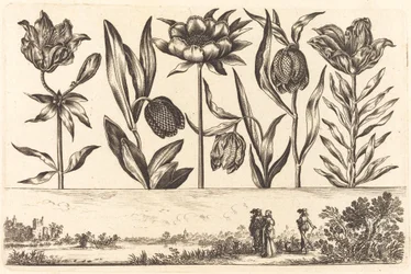 Flower Print No.11