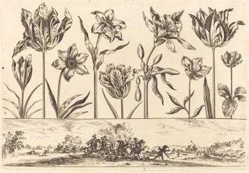 Flower Print No.2