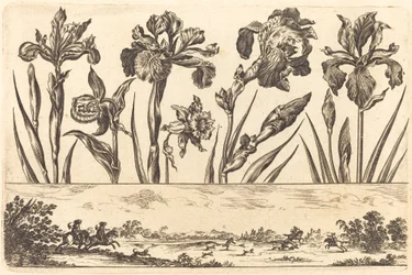 Flower Print No.3