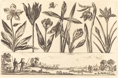 Flower Print No.4