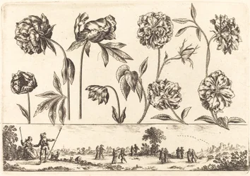 Flower Print No.7