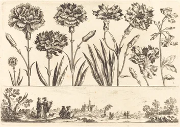 Flower Print No.9