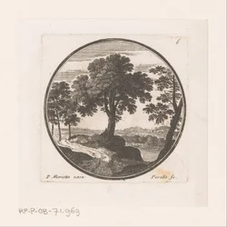 View of Trees Along Water