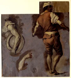 Study of anatomy, arm movements and back man (Oil drawing)
