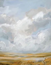 Expansive Cloudscape Landscape