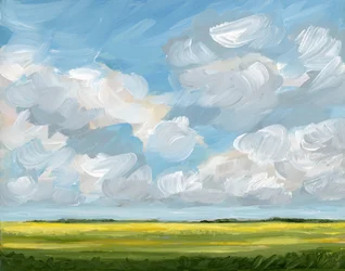 Vast Sky Yellow Field