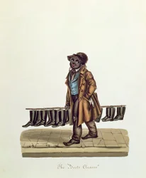 The Boots Cleaner