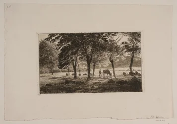 The Avenue