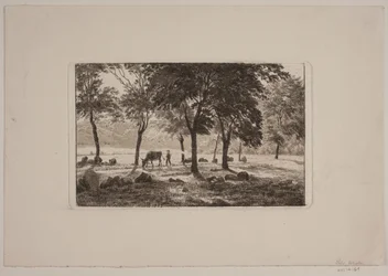 The Avenue