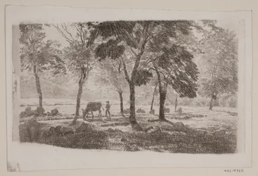 The Avenue