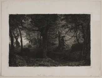 The Troll Forest
