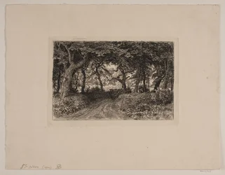 Cart on a Forest Road