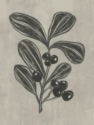 Botanical Berry Sketch