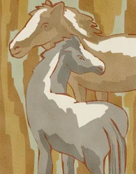 Calm Horse Family