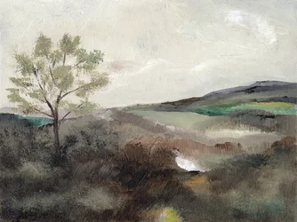 Misty Countryside Tree