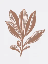 Organic Botanical Sketch
