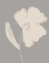 Soft Blush Bloom