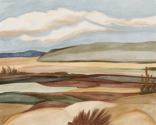 Southwestern Desert Vista