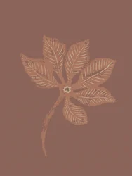 Textured Botanical Leaf