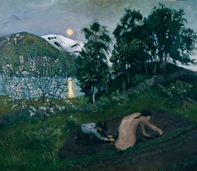Spring Night in the Garden