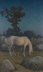 White horse at dusk