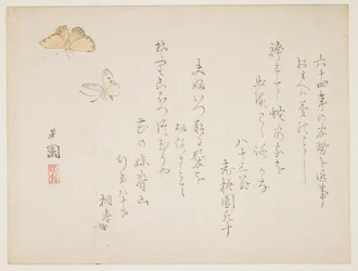 Butterflies