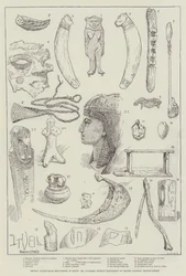 Recent Antiquarian Discoveries in Egypt, Mr Flinders Petrie