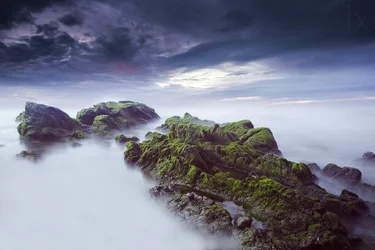 Ethereal Mossy Seascape