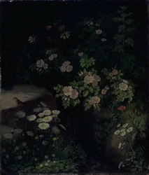 Andante in Beethoven
