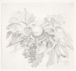 Grapes and Peaches