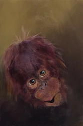Baby Orangutan 2