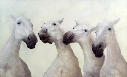 Equus Four